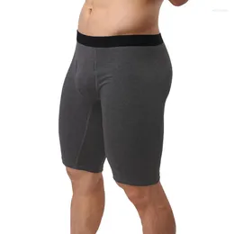 MUITAS PONTAS Mens boxers de pernas compridas algodão boxer masculino shorts mans sob roupas de ar -jovens de roupas íntimas