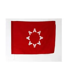 Oglala Sioux Tribe Flag 3039 x 5039 Oglala Lakota Flagi 90 x 150 cm Jaskinia Dwustronna poliester z mosiężnymi przelotkami LGBT6747513