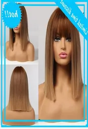 Alan Eaton Ombre Brown Short Right Hair Lolita Bobo With Pony Synthetic Wigs For Women Cosplay Heat resistant4013459