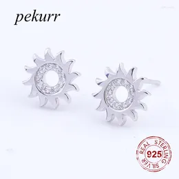 Brincos de garanhão Pekurr 925 Sterling Silver Hollo