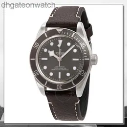 Высокоразмерные версии Tudery Designer Birstwatch M79010SG-0001 Impersor Swiss Watch Mens Automatic Mechanical Night Glow Watches