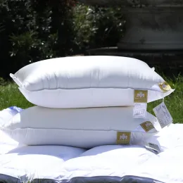 베개 Triumph Hill Hotel Chosiceness 100% 다운 베개 코어 흰색 거위 아래쪽 베개 코어 100%면 도움말 수면은 맞춤형 크기가 될 수 있습니다.