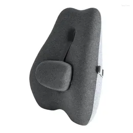Pillow Memory Foam Lombar Desk Chair Back Support Empresa ergonômica