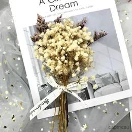 Dried Flowers 2g Mini Babys Breath Dry Flower Photo Props Flores Secas Naturales Wedding Birthday Decoration Home Party Gifts Dried Flowers