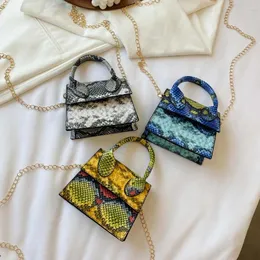 Çanta Moda Serpantin Kadınlar Omuz Pu Deri Yılan Baskı Zinciri Küçük Totes Çantası Kadın Retro Mini Crossbody Handbag