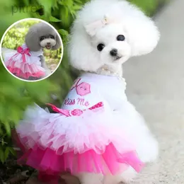 Abbigliamento per cani estivi abiti tutu abiti in pizzo mesh per animali domestici per piccoli vestiti da sposa cucciolo colorato colorato vestiti per cani di buona qualità D240426