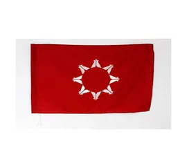 Oglala Sioux Tribe Flag 3039 x 5039 Oglala Lakota Flags 90 x 150 cm Man Cave Double Sided Polyester med mässing GROMMETS LGBT4380847