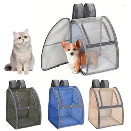 Cat Carriers Portable oddychający plecak Travel Outdoor Adventures Wygodne regulowane paski torby na ramię Mały pies