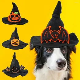 Köpek Giyim Puppy Hat Cadılar Bayramı Pet Spooky Witch Ayarlanabilir Hafif Headdress For Furry için Yarasa Kabak
