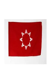 Oglala Sioux Tribe Flag 3039 X 5039 Oglala lakota Flags 90 x 150 cm Man Cave両面ポリエステルと真鍮グロメットLGBT2980847