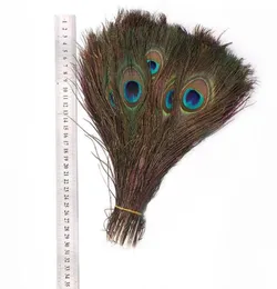 200pcs Doğal Peacock Feathers 2530cm 1012 Sa6868773 için güzel tüy yenilik öğeleri dekorasyon dekorasyon