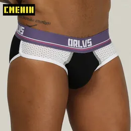 Underpants (1 조각) Orlvs 섹시한 남자 속옷 서류 메쉬 통기성 패션면 U 파우치 팬티 란제리 OR183