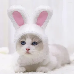 Catdado de vestuário de cachorro Pet suave Decorativo atraente Adorável Cartoon Ears Cat