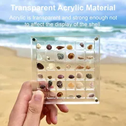 المجوهرات المغناطيسية الأكريلية Seashell Display Box Small Crafts Stone Nail Art Bead Charm Show Organizer Container Case 240411