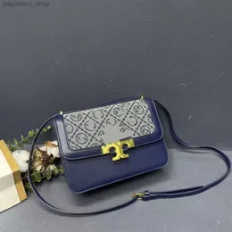 Luksusowa marka projektantka torebka damska Baobao damska nowa wszechstronna wysokiej klasy torba crossbody popularna w Internecie pojedyncze ramię