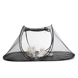 CATTORI CATTORI CASSE CASE CONSEGNA PIEDABILE PET PET PET CANTRO CAGE CAGE CAGNA CATTO CATTO CATTO BEDE PET CASA NUOVO CALDO 240426