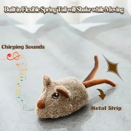 How I Built This Cat Toy: DIY Fun for Happy, Active Cats