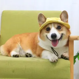 Köpek giyim evcil hayvan sevimli şapka ayarlanabilir anti-shedding havza kapağı yaz gölgesi pamuk prenses gorro para perro aksesuarları