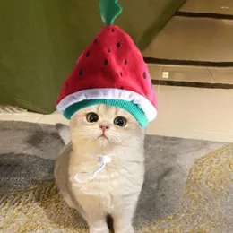 Abbigliamento per cani Cappello carino per animali domestici comodi per tutto il giorno indossare animali domestici eleganti Watermelon Cat Fun Testgear Party Pos Cosplay