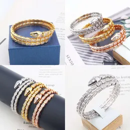 Plattierte goldene Schlange Armreif für Frauen Männer Charme Infinity Diamond Tennis Manschette Armbänder Designer Schmuck Fashion Party Hochzeitsgeschenke Paar Mädchen Originalqualität