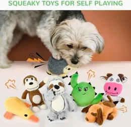 Puppy Toy Set 12 Pack Small Dog Toys for Teething Play! Cute