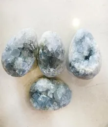 Presente natural Celestite Geode ovo estatueta Drusy Cluster Crystal Jade Quartz Mineral Festy Party Home Decoration4113319