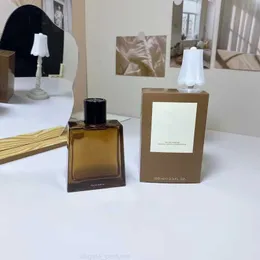 Factory Direct Luxury Brand Perfume Hero Eau de Toilette 100 ml profumi Parfum Lungo odore di lunga durata EDP uomini donne Fragranza di Colonia