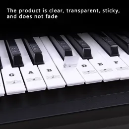 Keyboards 37/49/54/61/88 Taste Klavieraufkleber Klavier Tastatur Aufkleber Abnehmbarer elektronischer Tastaturklavieraufkleber für Kinderanfänger Übung