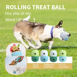 Hundebekleidung langsame Feeder Toys Pet Bowl Silikon Schütteln von Leckagen Futterspezialitätenspender Container Puzzle Interaktiv
