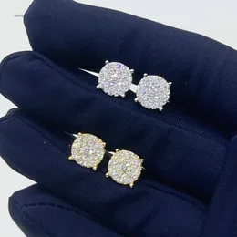 تمرير اختبار Diamond 925 Sterling Silver VVS Classic Gold Plated Ear Studs Moissanite Stud arring for Women