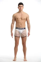 Underpants 남자 PVC 투명 해변 수영 트렁크 통기성 빠른 건조 복서 피트니스 보디 빌딩