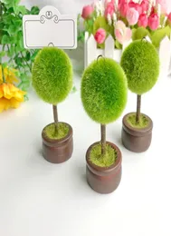 50PCS Spring Wedding Favors Round Topiary Po HolderPlace Card Holder Garden Themed Party Decoratives Name Card Clips5750933