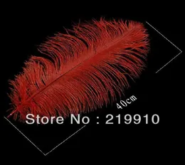 Ostrich Feathers For Appearing Cane and Vanish CaneRed Magic Trick Fun Magic Party Magic1119408