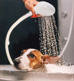 New Pet Dog Cat Shower Head Multifunctional Tap Faucet Spray Drains Strainer Hose Sink Washing Hair Pets Lave Water Bath Heads5368969