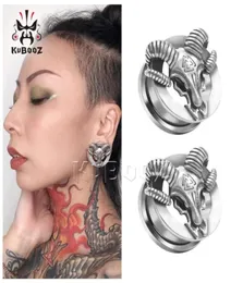 Kubooz Paslanmaz Çelik Koyun Kafa Kulak Tapaları Tüneller Vücut Piercing Takı Küpe Sedyeleri bütün 6mm ila 25mm 30pcs2425906676931