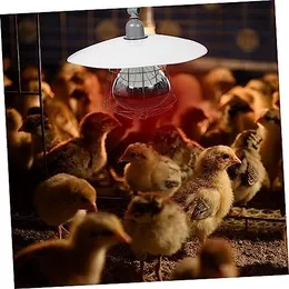 Reptile Heat Lamp: Premium Ceramic Heat Emitter for Terrariums  Shop Now!