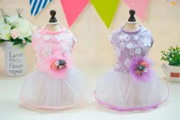 ملابس الكلاب Dogbaby Spring Summer Dress Dress Alluck in Dream Ballet Skirt Style من S إلى XL Puppy Dogs