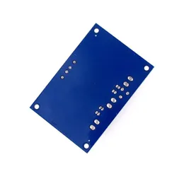 Новый TPA3116 D2 TPA3116DA DC 12V 24 В 100 Вт моноканал Mono Channel Digital Power Audio Amplifier Poard TPA31166D2 Плата большой емкости для TPA3116D2