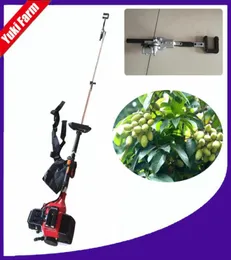 Gasoline olive harvest machine olive harvester shaker olive picking machine fruit tree harvesting machine orchard fruit tree shake8986557