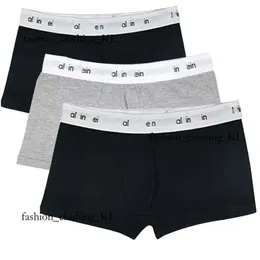 Designer de moda Roupa CALVINS Brand boxer Brand Breathable Modern Gravity Bornwear