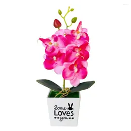 Dekorative Blumen künstlicher Schmetterlings Orchideen Bonsai gefälschte Blume mit Topfmotten Orchideen Nicht gewossen