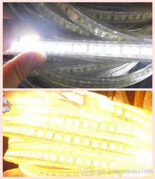 Umlight1688 20 50 100M Cool White High Power SMD5730 Flexible LED strip Rope Lights Custom Cuttable Energy Saving 110V 120V 220V C6954588