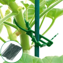 Украшения 50 шт. Регулируемые растительные кабельные галстуки многоразовый пластиковый кабельный кабельный