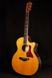 814 L10 2005 Akustik Gitar Aynı resimler