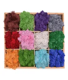 Flores decorativas grinaldas Diy Flower Material Artificial Plant Moss Muscus Mini Garden Micro paisagem Acessórios para casa Casamento6257433