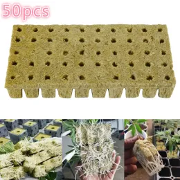 Decorações 50pcs planta planta plug plug plug cubos base cubos práticos para aplicações hidropônicas de salão de pomar de estufa de estufa de jardim
