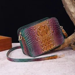 Cross body small square bag hand-held bag Brahmin multicolored crocodile pattern