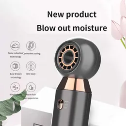 Hair Dryers Portable Mini Drier Care Styling Tool Travel Professional One Step Quick Heating Q240429