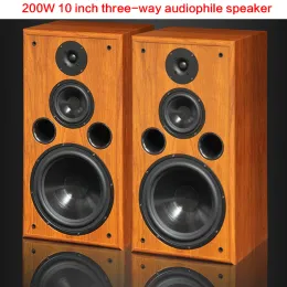 مكبرات صوت 200W 10 بوصة العالية المتحدث الصوتي Threeway رف الكتب Floortoceiling Hifi Audio Audio Home Theater Actusist