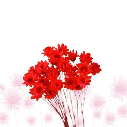 Kurutulmuş Çiçekler 30 PCS Ev Dekoru Daisy Korunmuş Çiçek Diy kurutulmuş Dcor Dekorasyon Sonsuz Dersler